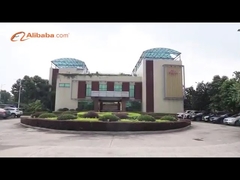 غوانغتشو فايكنغ أوتو بارتس كو، LTD